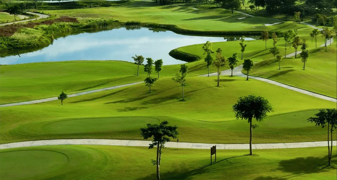 Lush green championship golf landscapes and private backyard gardens at Terra Golf Collection Dubai.